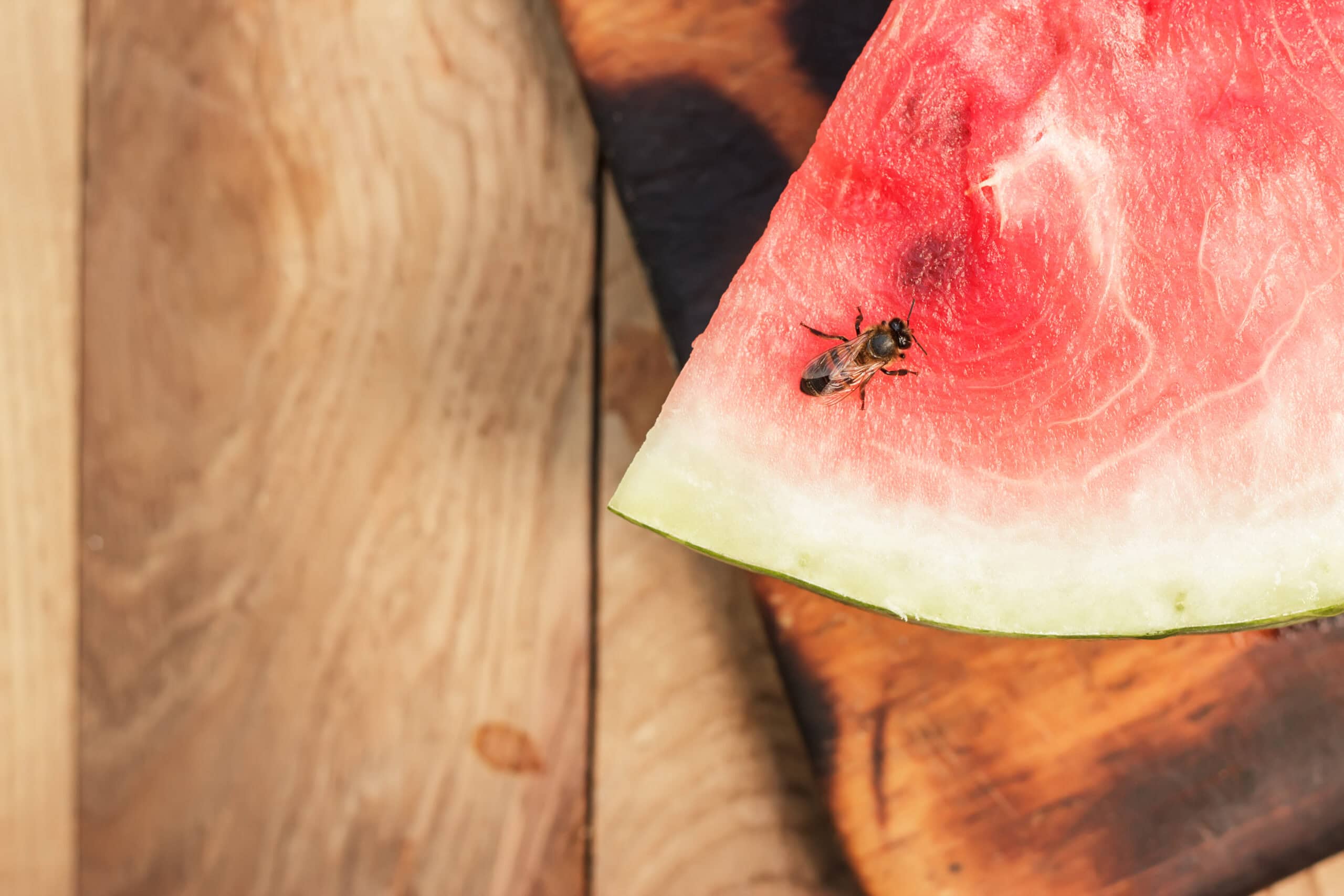 watermelon and bee on the wooden table