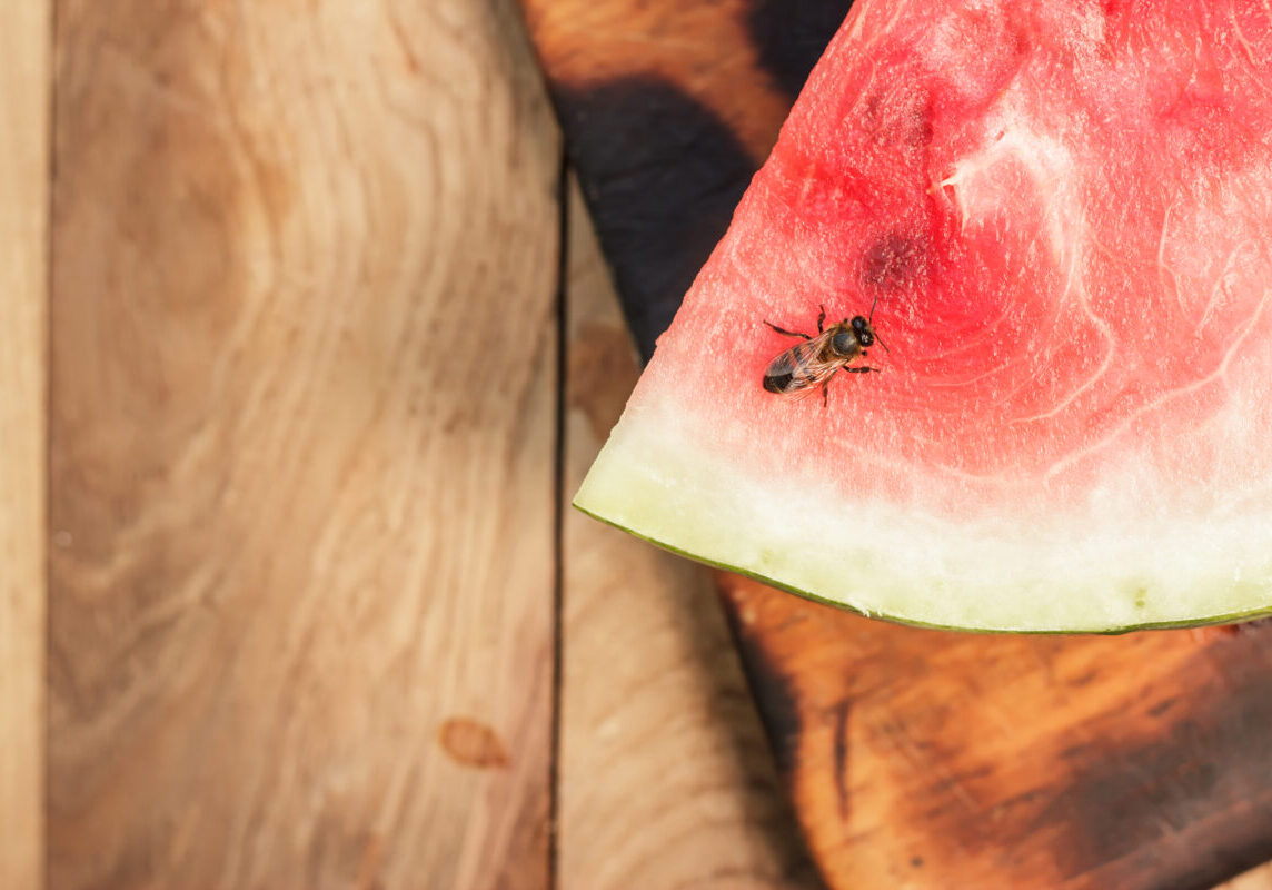 watermelon and bee on the wooden table